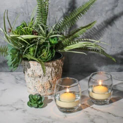 Richland Floating Candles 2" Ivory Set Of 24 9 Richland Floating Candles 2" Ivory Set Of 24 -Comme Des Garcons Store 03384955062 3337 a63f4194 d464 478b 9a86 de948618986e