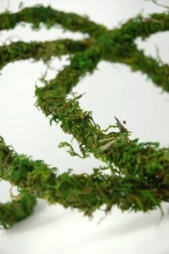 Natural Moss Vine Preserved 12ft