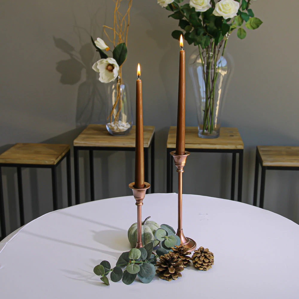 Richland Taper Candles 10" Brown Set Of 50 2 Richland Taper Candles 10" Brown Set Of 50 - Image 2