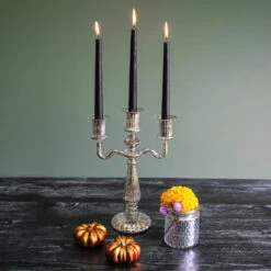 Richland Mercury Tri Candelabra Set Of 6 5 Richland Mercury Tri Candelabra Set Of 6 -Comme Des Garcons Store 1384 7738 703a7c90 e6c2 4617 9d44 58469e8d4c83