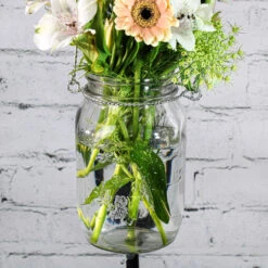 Eastland Large Mason Jar With Handle Set Of 12 7 Eastland Large Mason Jar With Handle Set Of 12 -Comme Des Garcons Store 1471 4260 2