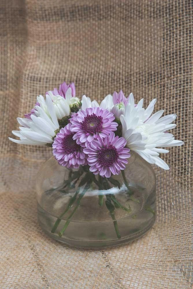 Richland Etta Vase Set Of 6 3 Richland Etta Vase Set Of 6 - Image 3