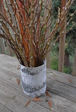 Whitewashed Birch Bark Vase 7x10 7 Whitewashed Birch Bark Vase 7x10 -Comme Des Garcons Store 2014 02 17 8680 edited 1