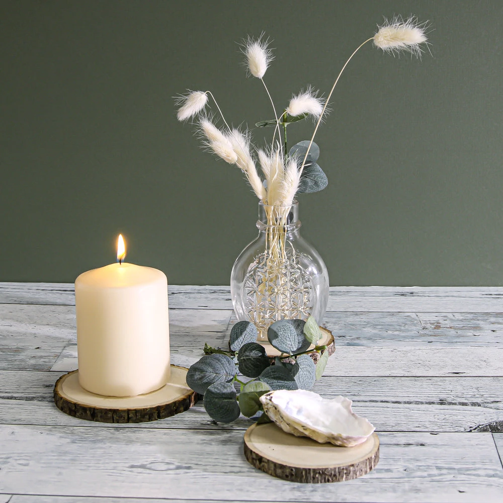8 Basswood Branch Rounds 3.5in-5in Natural 3 8 Basswood Branch Rounds 3.5in-5in Natural - Image 3