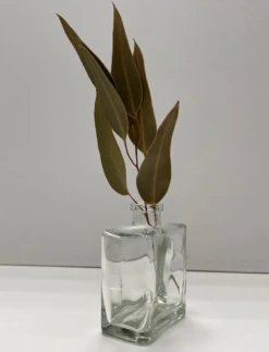 Clear Glass Matic 8.5 Ounce Bottles Set Of 12 6 Clear Glass Matic 8.5 Ounce Bottles Set Of 12 -Comme Des Garcons Store 40099904156 03