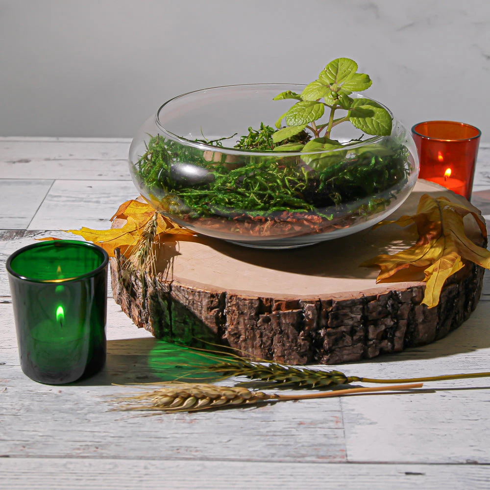 Eastland Votive Holder Green Set Of 72 2 Eastland Votive Holder Green Set Of 72 - Image 2