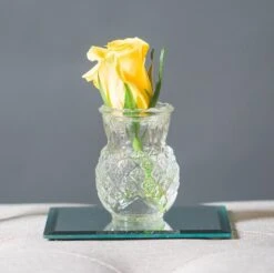 Eastland Square Mirror Coaster 5" Set Of 72 5 Eastland Square Mirror Coaster 5" Set Of 72 -Comme Des Garcons Store 5insquare cce3bd73 e3d0 478a 9911 61173b873529