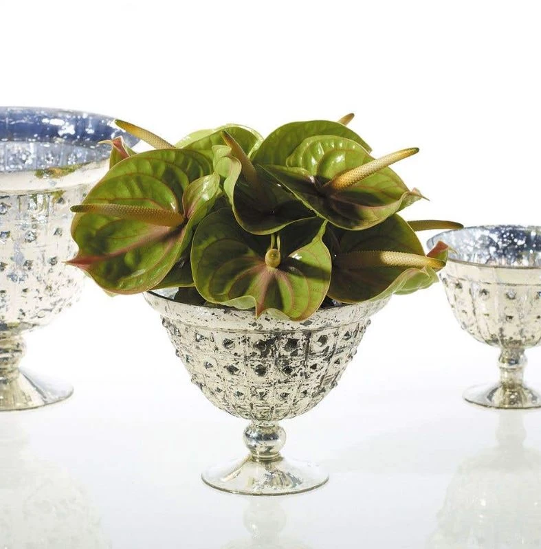 Baleri Glass Compote Bowl 8'' X 6'' 3 Baleri Glass Compote Bowl 8'' X 6'' - Image 3
