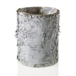 Whitewashed Birch Bark Vase 4.75x6