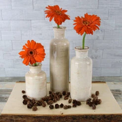 Richland Farmhouse White Ceramic Vase 5" Set Of 12 7 Richland Farmhouse White Ceramic Vase 5" Set Of 12 -Comme Des Garcons Store 91127 91128 91129 6866 8d3b013d 0ae5 4bd6 aa79 7b1b37c36b8f