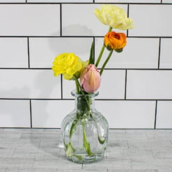Richland Vintage French Parfum Glass Bottle 5.5" Set Of 6 9 Richland Vintage French Parfum Glass Bottle 5.5" Set Of 6 -Comme Des Garcons Store 91148 4635 73e56246 635e 4105 b593 ebd7662b63e6