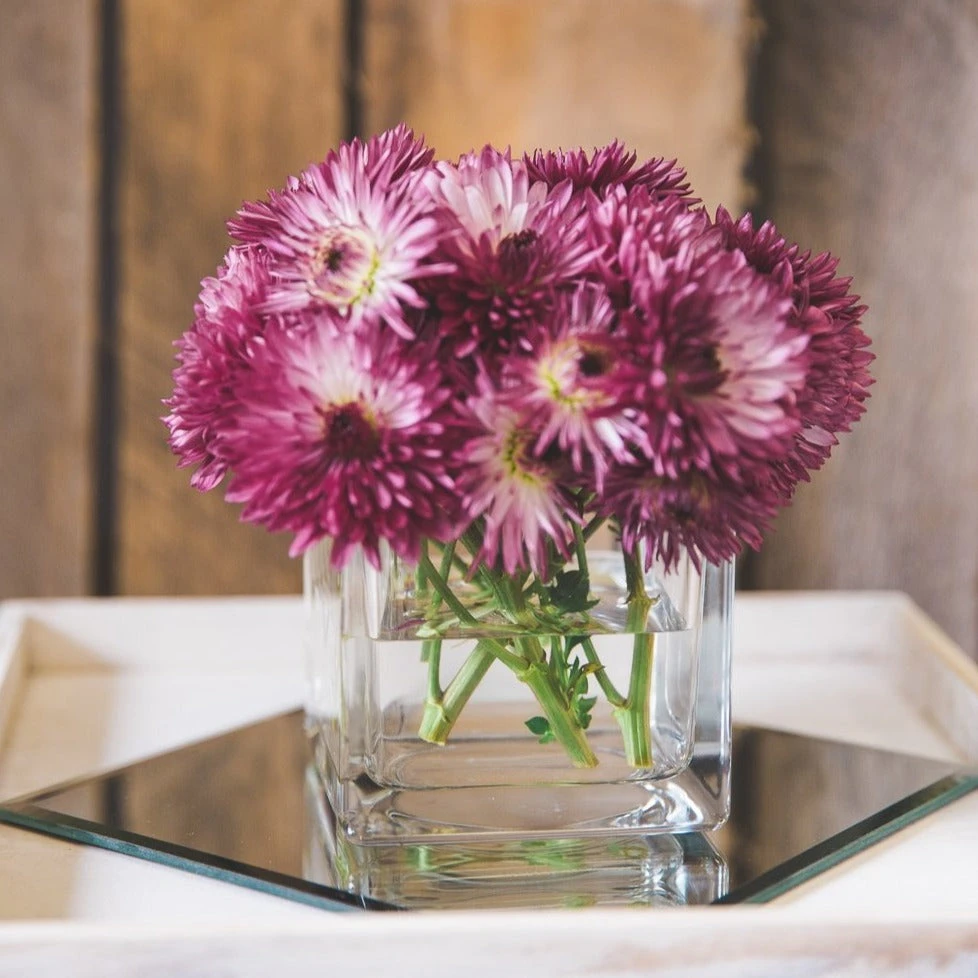 Richland Square Glass Cube Vase 5" Set Of 12 6 Richland Square Glass Cube Vase 5" Set Of 12 - Image 6