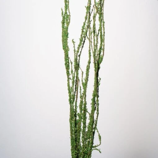 Moss Covered 48"-52" Coastal Range Natural Branches Bundle Of 3