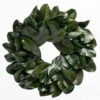 Richland Preserved Magnolia Wreath 17" Set Of 6