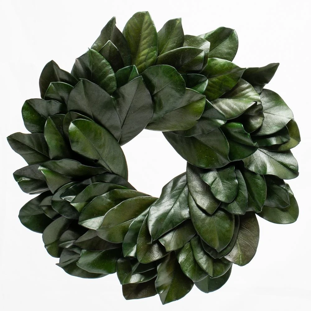 Richland Preserved Magnolia Wreath 17" Set Of 6 1 Richland Preserved Magnolia Wreath 17" Set Of 6