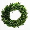 Richland Preserved Boxwood Wreath 17”