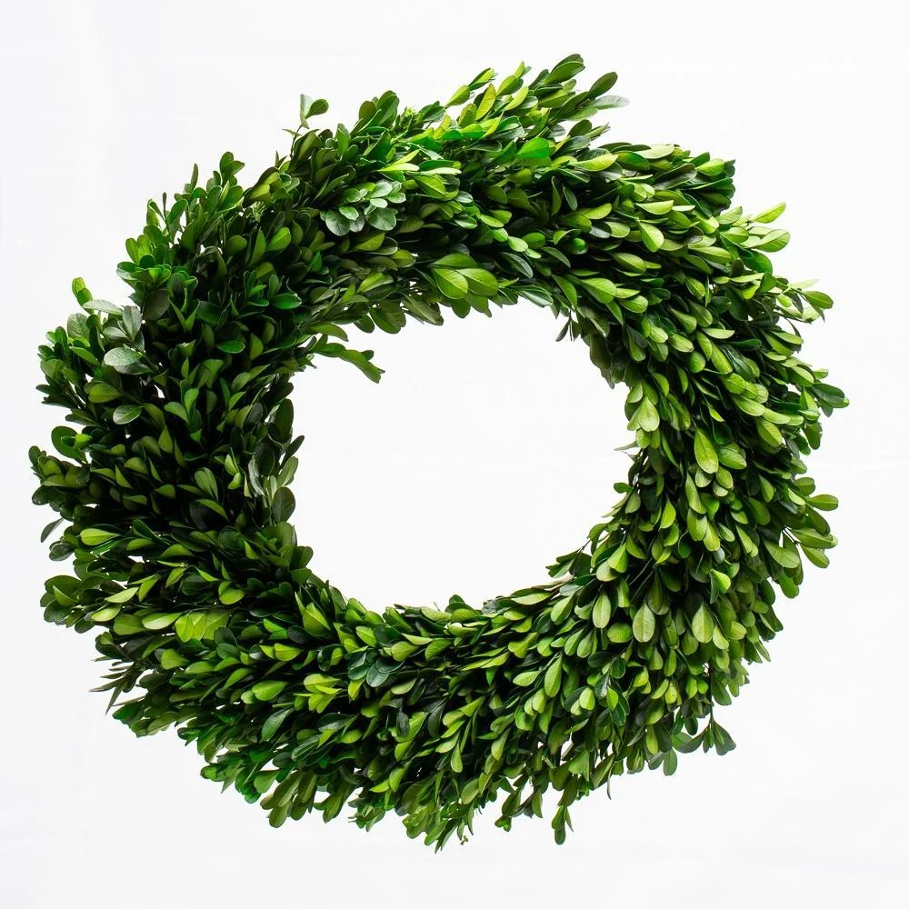 Richland Preserved Boxwood Wreath 17” 1 Richland Preserved Boxwood Wreath 17”