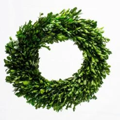 Richland Preserved Boxwood Wreath 17” Set Of 6