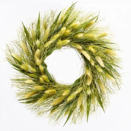 Richland Preserved Willow Wreath 14" Set Of 6