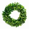 Richland Preserved Boxwood Wreath 8”