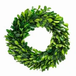 Richland Preserved Boxwood Wreath 8” Set Of 12