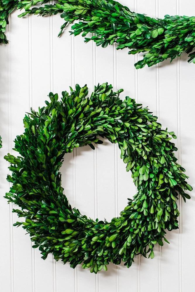 Richland Preserved Boxwood Wreath 17” 2 Richland Preserved Boxwood Wreath 17” - Image 2