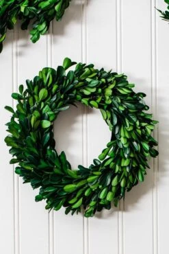 Richland Preserved Boxwood Wreath 8” 7 Richland Preserved Boxwood Wreath 8” -Comme Des Garcons Store 967a0407