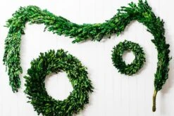 Richland Preserved Boxwood Wreath 8” 9 Richland Preserved Boxwood Wreath 8” -Comme Des Garcons Store 967a0411 2