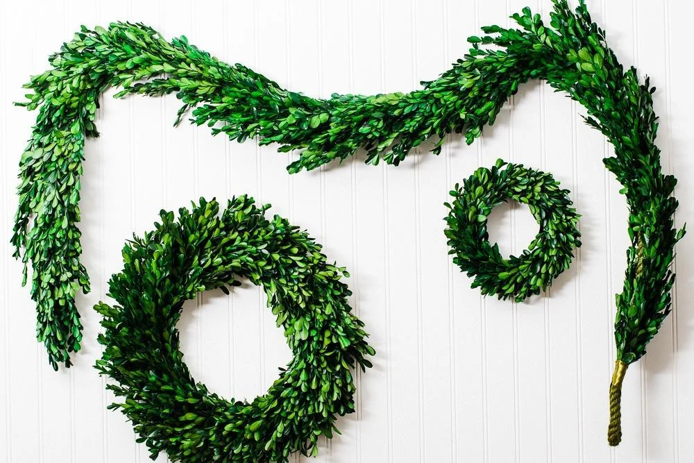Richland Preserved Boxwood Wreath 8” 5 Richland Preserved Boxwood Wreath 8” - Image 5
