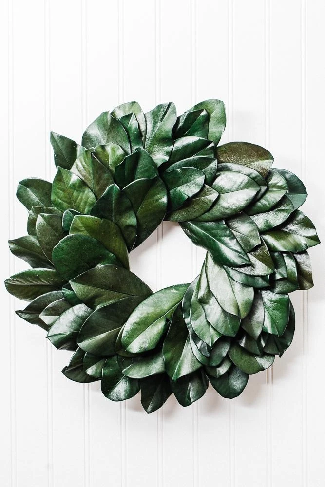 Richland Preserved Magnolia Wreath 17" Set Of 6 3 Richland Preserved Magnolia Wreath 17" Set Of 6 - Image 3