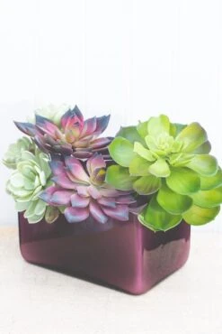 Richland Marlee Square Vase Mauve Set Of 6 5 Richland Marlee Square Vase Mauve Set Of 6 -Comme Des Garcons Store 967a0930 1
