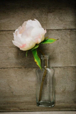 Richland Effie Bud Vase Set Of 12 7 Richland Effie Bud Vase Set Of 12 -Comme Des Garcons Store 967a6700 1