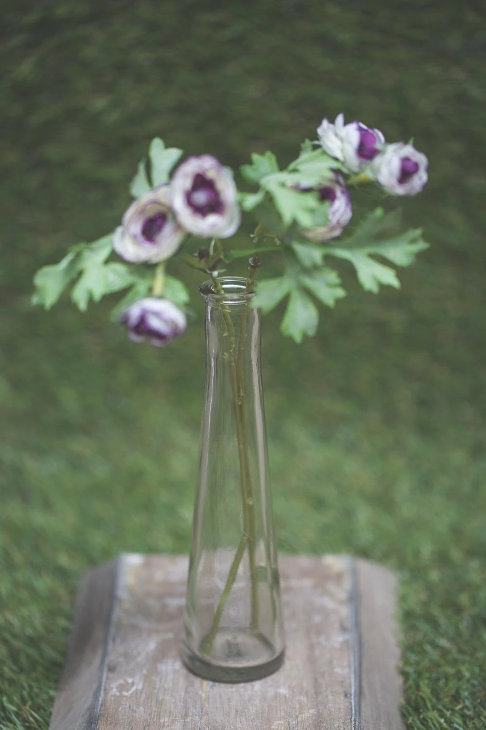 Richland Tapered Bud Vase Clear 7” Set Of 12 2 Richland Tapered Bud Vase Clear 7” Set Of 12 - Image 2