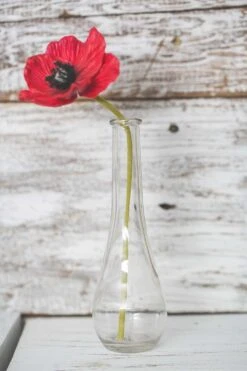 Richland Clear Round Teardrop Bud Vase 7" Set Of 12 6 Richland Clear Round Teardrop Bud Vase 7" Set Of 12 -Comme Des Garcons Store 967a6984