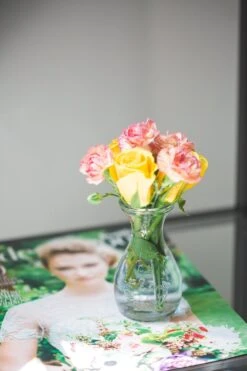Richland Glass Bud Vase Clear Teardrop Set Of 36 5 Richland Glass Bud Vase Clear Teardrop Set Of 36 -Comme Des Garcons Store 967a7354 1