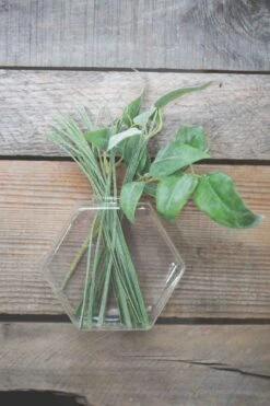 Richland Hoyt Wall Vase Set Of 6 5 Richland Hoyt Wall Vase Set Of 6 -Comme Des Garcons Store 967a8688 1