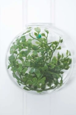 Richland Hollis Wall Vase Set Of 12 5 Richland Hollis Wall Vase Set Of 12 -Comme Des Garcons Store 967a8706 1