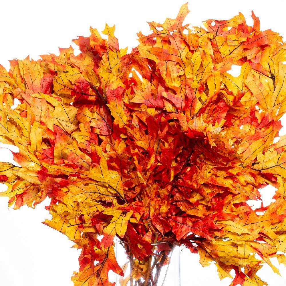 Preserved Oak Branches Orange 1 Preserved Oak Branches Orange