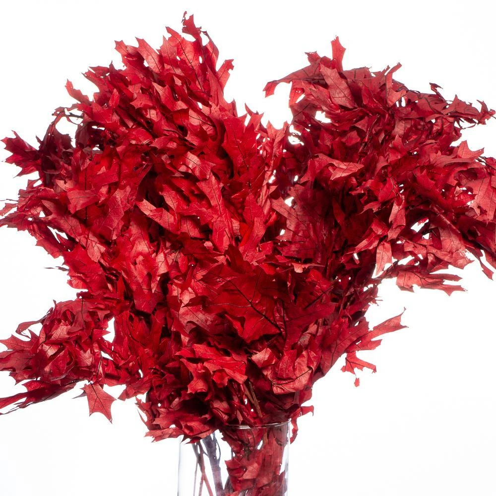 Preserved Oak Branches Red 1 Preserved Oak Branches Red