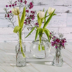 Richland Vintage Glass Bud Vase Set Of 12 7 Richland Vintage Glass Bud Vase Set Of 12 -Comme Des Garcons Store 9781 9124 91073 5547