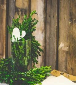 Richland Preserved Boxwood Garland 70" Set Of 4 5 Richland Preserved Boxwood Garland 70" Set Of 4 -Comme Des Garcons Store BoxwoodGarlandinvase 673dab40 72ef 4f31 979b 1247378d407e