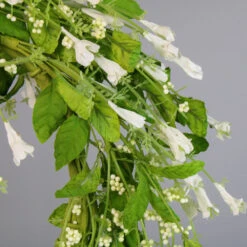 Richland Jasmine & Berries 24" Wreath -Comme Des Garcons Store FWJ509 WHGR 01 2125