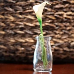 Richland Rhea Bud Vase Set Of 48 5 Richland Rhea Bud Vase Set Of 48 -Comme Des Garcons Store FinalsLifestyle 3 0dc38a17 d80b 4581 a8b9 518a0dc336db
