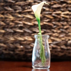 Richland Rhea Bud Vase Set Of 96 5 Richland Rhea Bud Vase Set Of 96 -Comme Des Garcons Store FinalsLifestyle 3 4711d3fd 2cb6 460e a05f f26cbc67e2b9