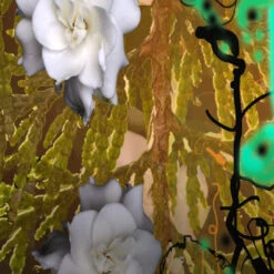 Jade Vines 6 Jade Vines -Comme Des Garcons Store Jade Vines by Regime des Fleurs Ministry of Scent3