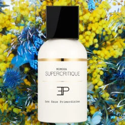 Mimosa Supercritique 12 Mimosa Supercritique -Comme Des Garcons Store Les Eaux Primordiales Supercritique Mimosa 1