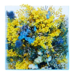 Mimosa Supercritique 11 Mimosa Supercritique -Comme Des Garcons Store Les Eaux Primordiales Supercritique Mimosa
