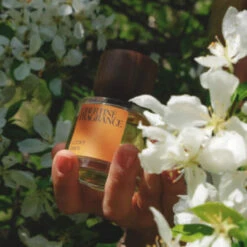 Lucky Days 11 Lucky Days -Comme Des Garcons Store Lucky Days by Libertine Fragrance01