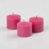 Richland Votive Candles Unscented Hot Pink 10 Hour Set Of 144