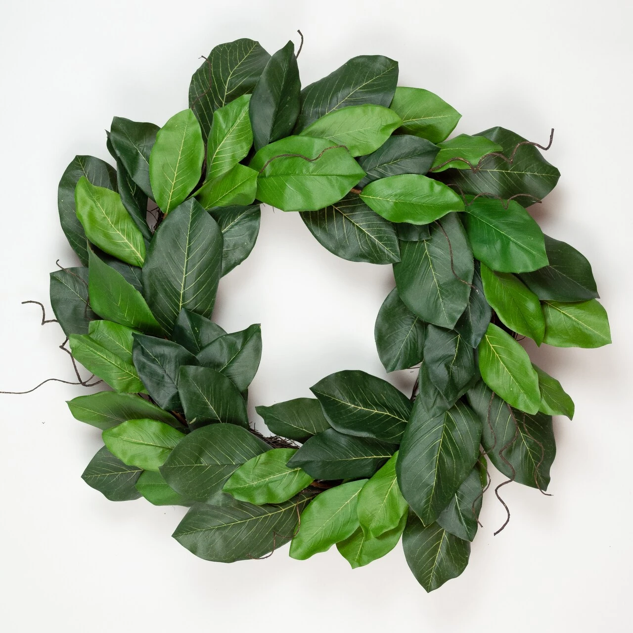 Richland Mountain Magnolia Wreath 24" 1 Richland Mountain Magnolia Wreath 24"